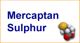 Mercaptan Sulphur (RSH)